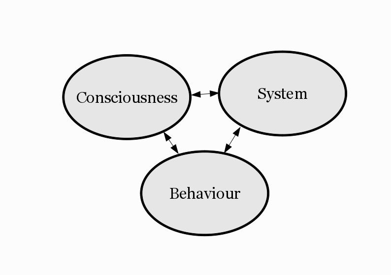 Consciousness - System - Behavior